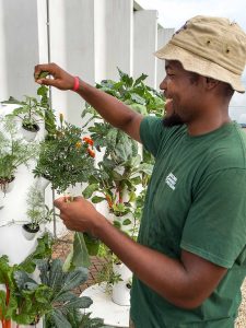 Photo by Charlie Leche Geordan Lightfoot Smith / hydroponics / Second Harvest Food Bank